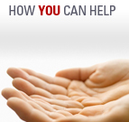 How You Can Help